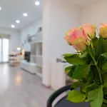 Ponte Milvio Lovely House